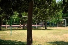 pineta2-campi-salentina