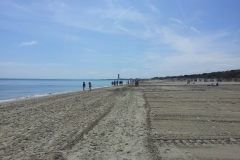 spiaggia pinarella di cervia